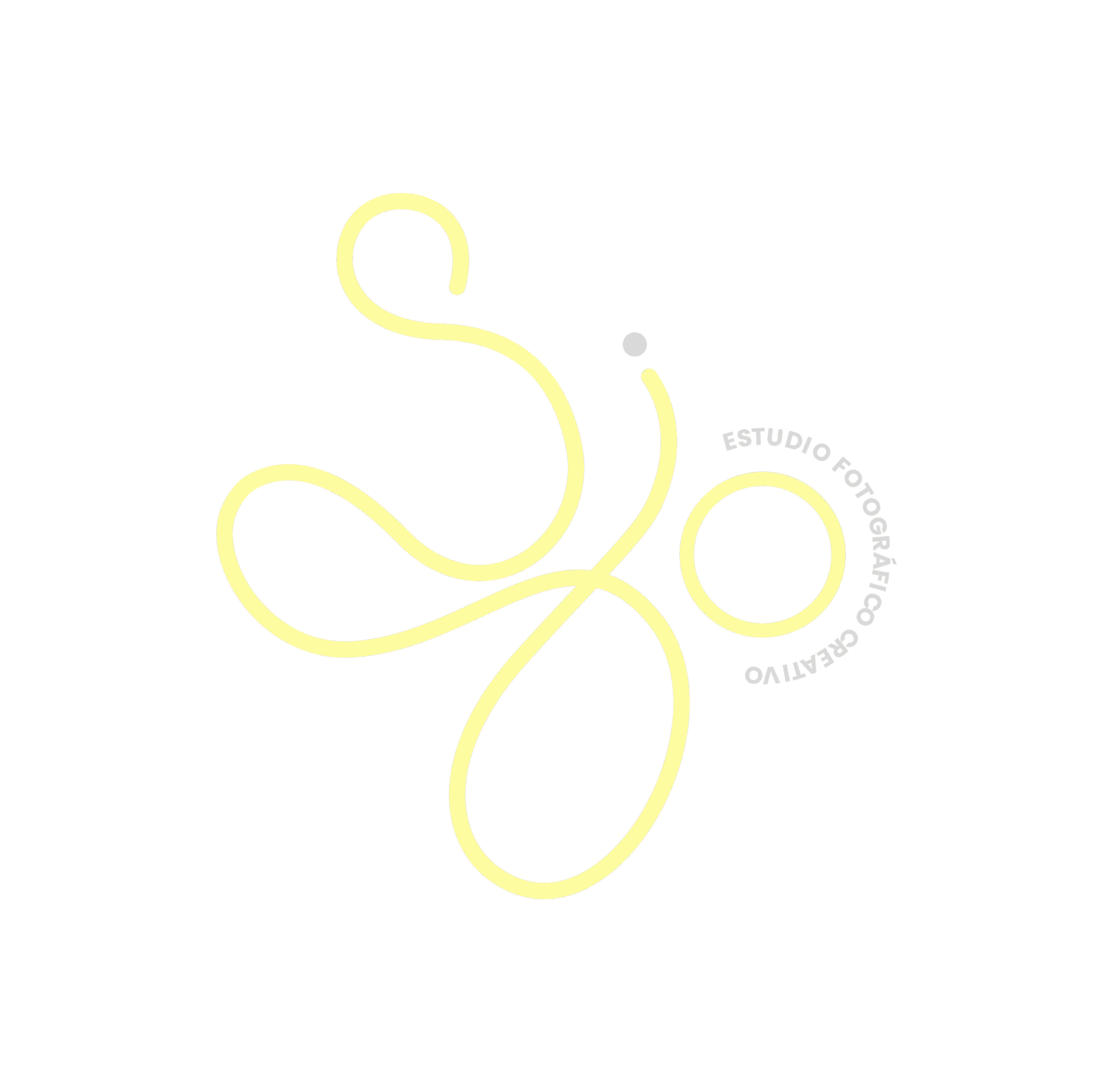 Lasso Estudio